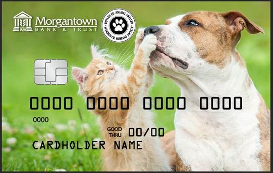 Shelter Pet Card